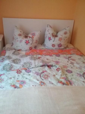 Ferienwohnung im Kapitänsgarten in Prerow Prerow